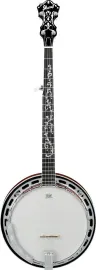 Ibanez Model B200 5-String Closed Back Banjo, Mahogany Gloss Resonator