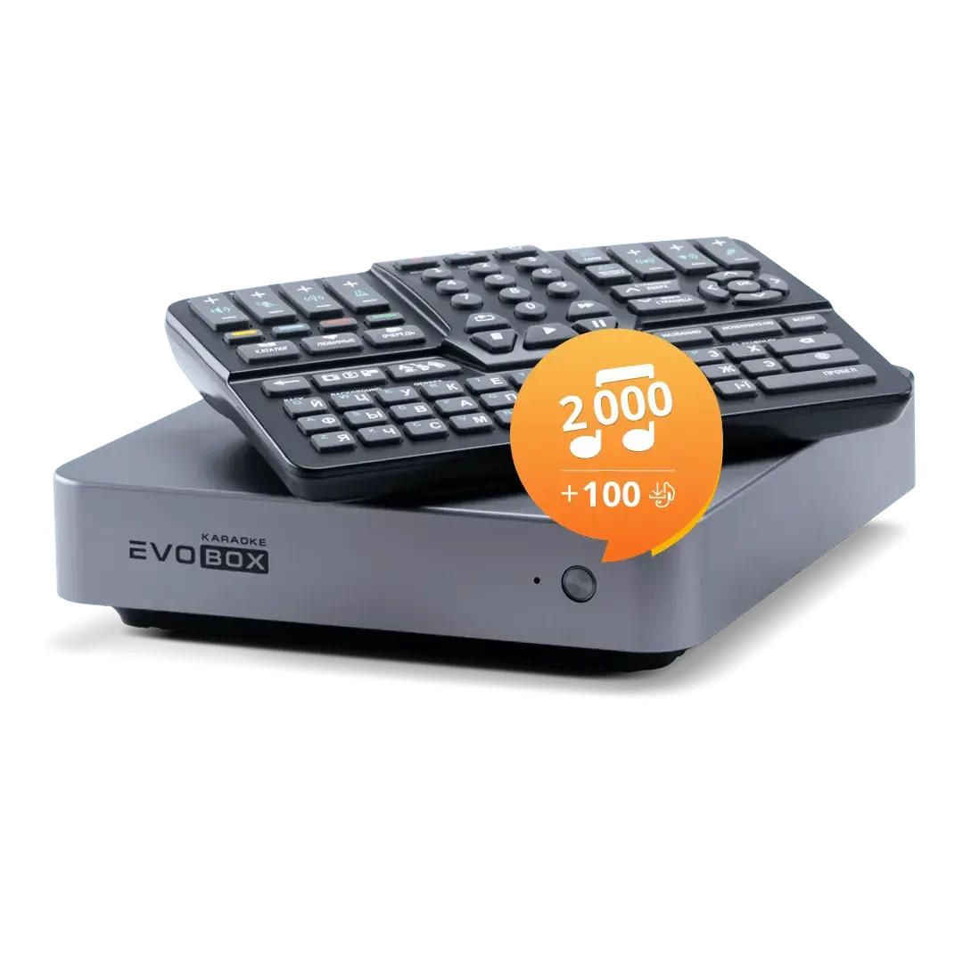 Караоке система Evolution EVOBOX Graphite