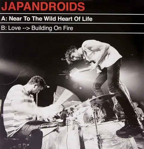 Виниловая пластинка Japandroids – Near To The Wild Heart Of Life (Релиз 2017)