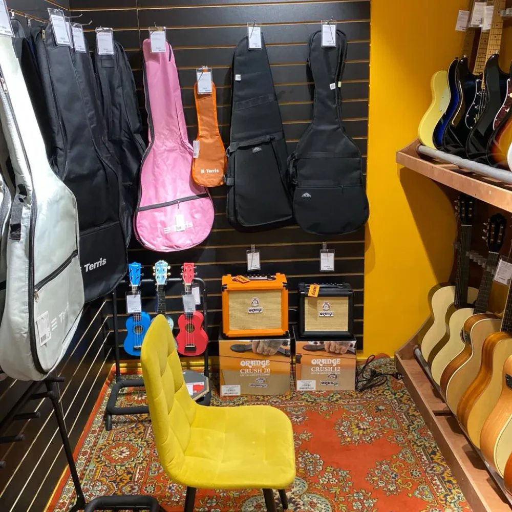 SKIFMUSIC — музыкальный магазин в Сочи