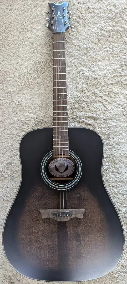 Dean Guitars 6 String St Augustine Dreadnaught Solid Top Acoustic Guitar, Black