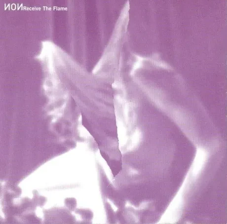 NON - Receive The Flame (CD)