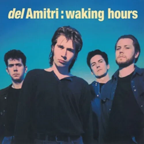 Виниловая пластинка Del Amitri – Waking Hours (Релиз 1989)