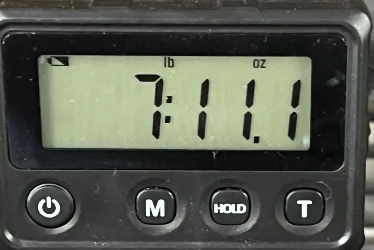 Изображение №2