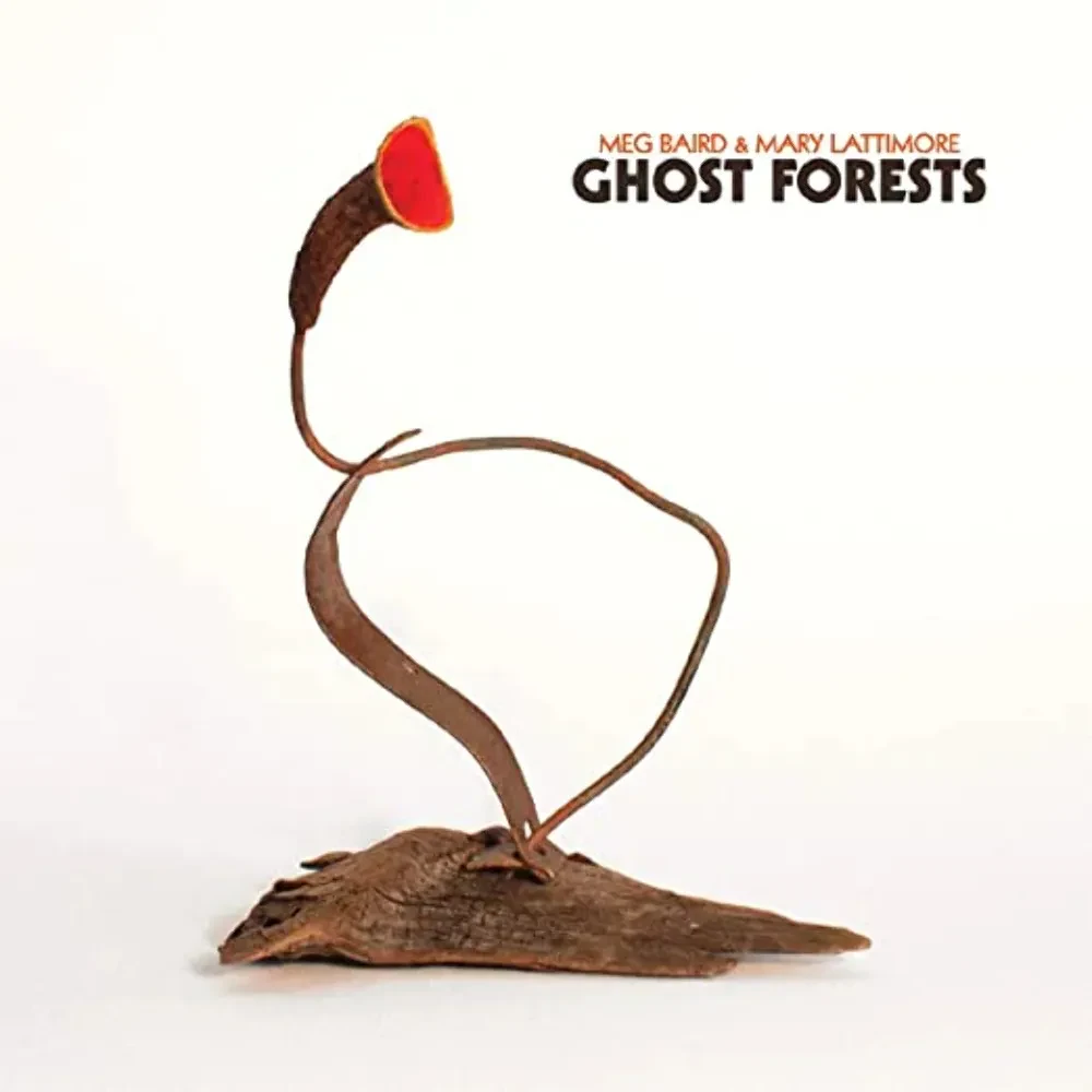 Виниловая пластинка Meg Baird & Mary Lattimore – Ghost Forests Релиз 2022 Sealed