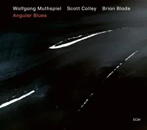 Виниловая пластинка Wolfgang Muthspiel / Scott Colley / Brian Blade – Angular Blues