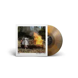 PUP - Dream Is Over [Clear with Red & Orange Swirl Vinyl] NEW Vinyl