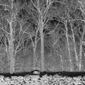 Виниловая пластинка Pile – Sunshine & Balance Beams (Релиз 2025)