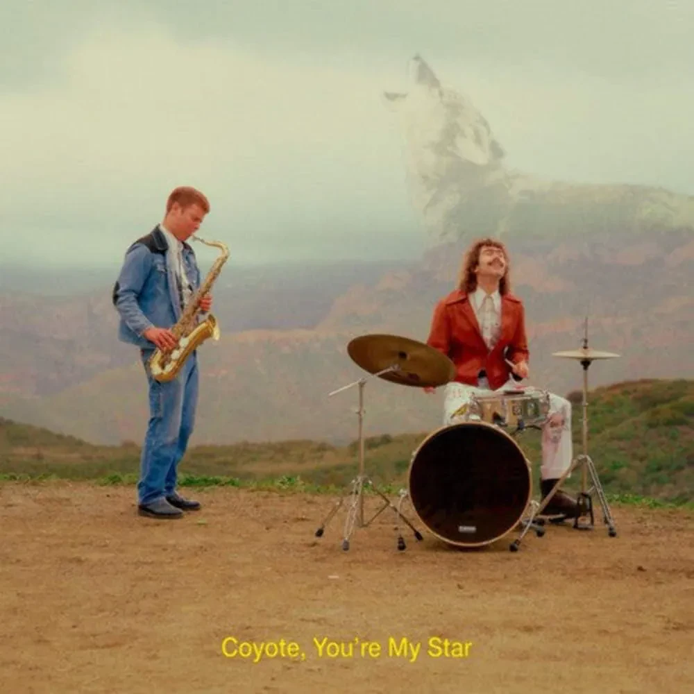 Виниловая пластинка Dana & Alden – Coyote, You're My Star 2024