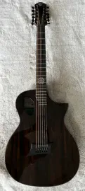 Michael Kelly Randy Jackson of Zebra Forte Ziricote 12 String Acoustic Electric