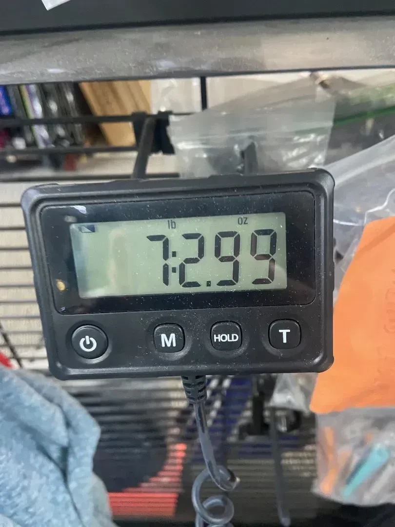 Изображение №10