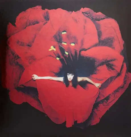 Виниловая пластинка The Smashing Pumpkins – Adore