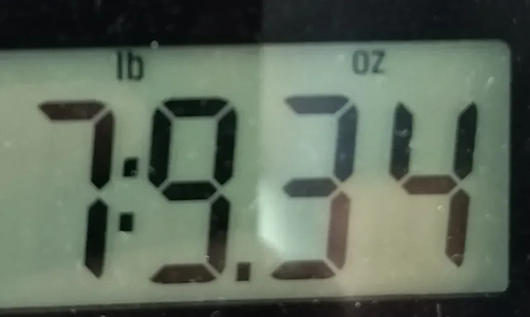 Изображение №2