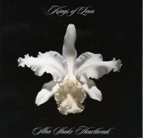 KINGS OF LEON - Aha Shake Heartbreak (CD)