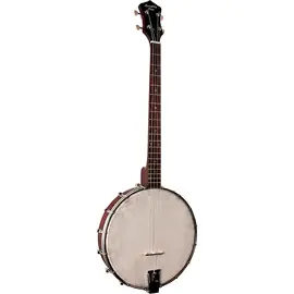 Банджо Recording King Dirty 30's Tenor Banjo