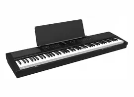 Цифровое пианино компактное Orla PF-300