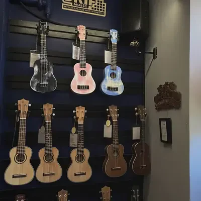 SKIFMUSIC — музыкальный магазин в Самаре