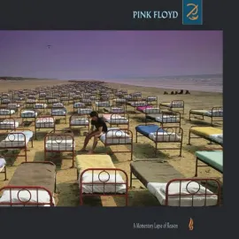 Pink Floyd - A Momentary Lapse Of Reason NEW Sealed Vinyl LP Album