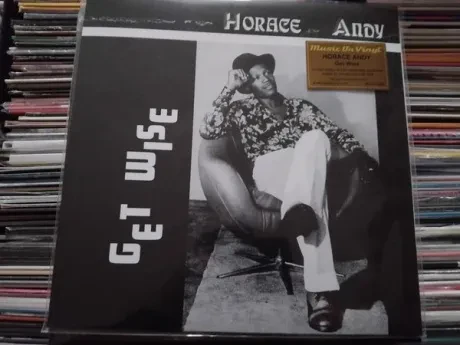 Виниловая пластинка Horace Andy – Get Wise