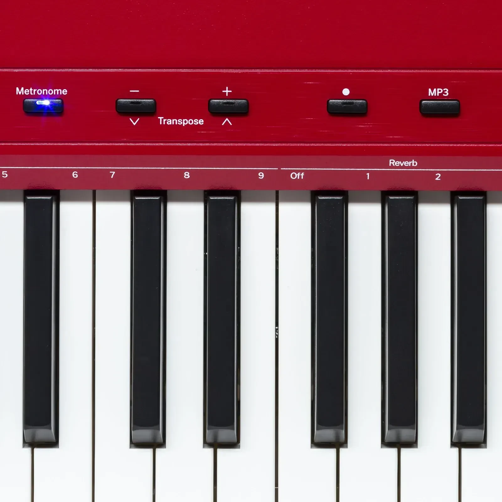 Изображение №7