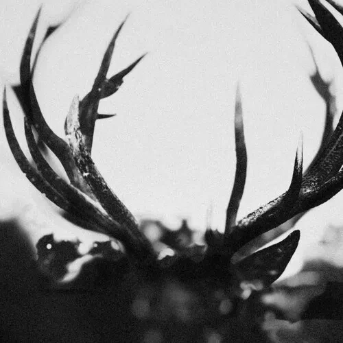 Виниловая пластинка Ihsahn - Ihsahn [New Vinyl LP] Black, Colored Vinyl, White