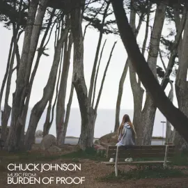 Виниловая пластинка Chuck Johnson – Burden Of Proof (Релиз 2023) Sealed