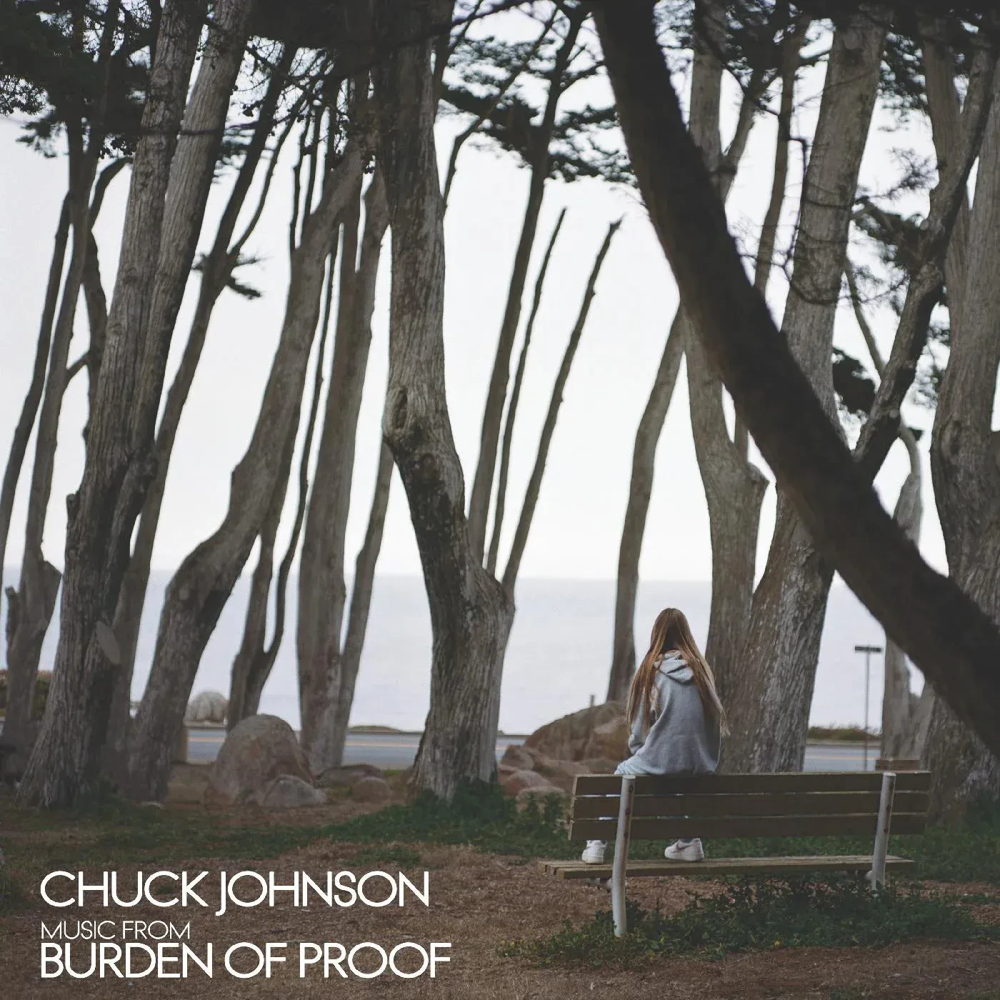 Виниловая пластинка Chuck Johnson – Burden Of Proof (Релиз 2023) Sealed