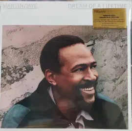 Виниловая пластинка Marvin Gaye – Dream Of A Lifetime