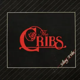Виниловая пластинка The Cribs – Selling a Vibe (Релиз 2026)
