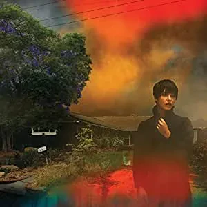 Виниловая пластинка Sharon Van Etten – We've Been Going About This All Wrong Limited Edition (Smoke Marbled Vinyl, LP)