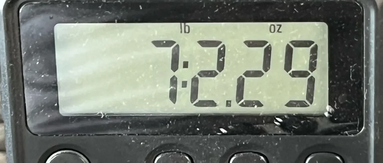 Изображение №8