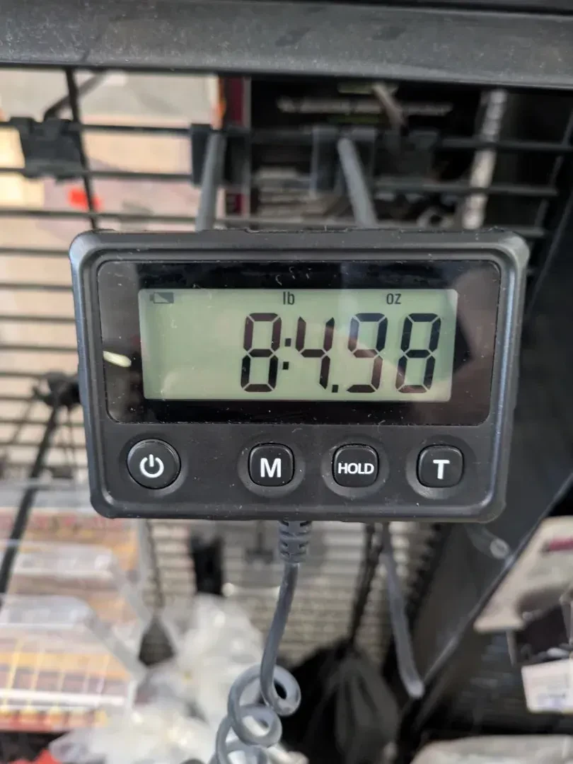 Изображение №9