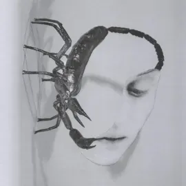 Виниловая пластинка Tortoise - Touch NEW Vinyl