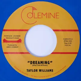 Виниловая пластинка Taylor Williams – Dreaming / What About Me? 7", голубой винил (Релиз 2025)
