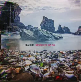 Виниловая пластинка Placebo – Never Let Me Go (2LP)
