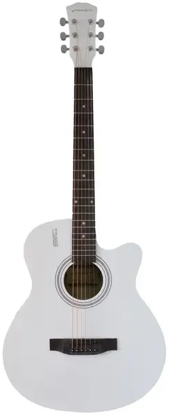 Акустическая гитара Jonson&Co E4011C WH