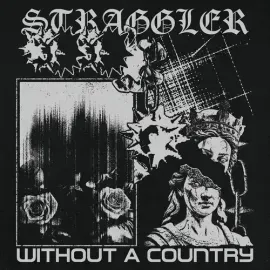 Виниловая пластинка The Straggler - Without A Country [New 7" Vinyl]