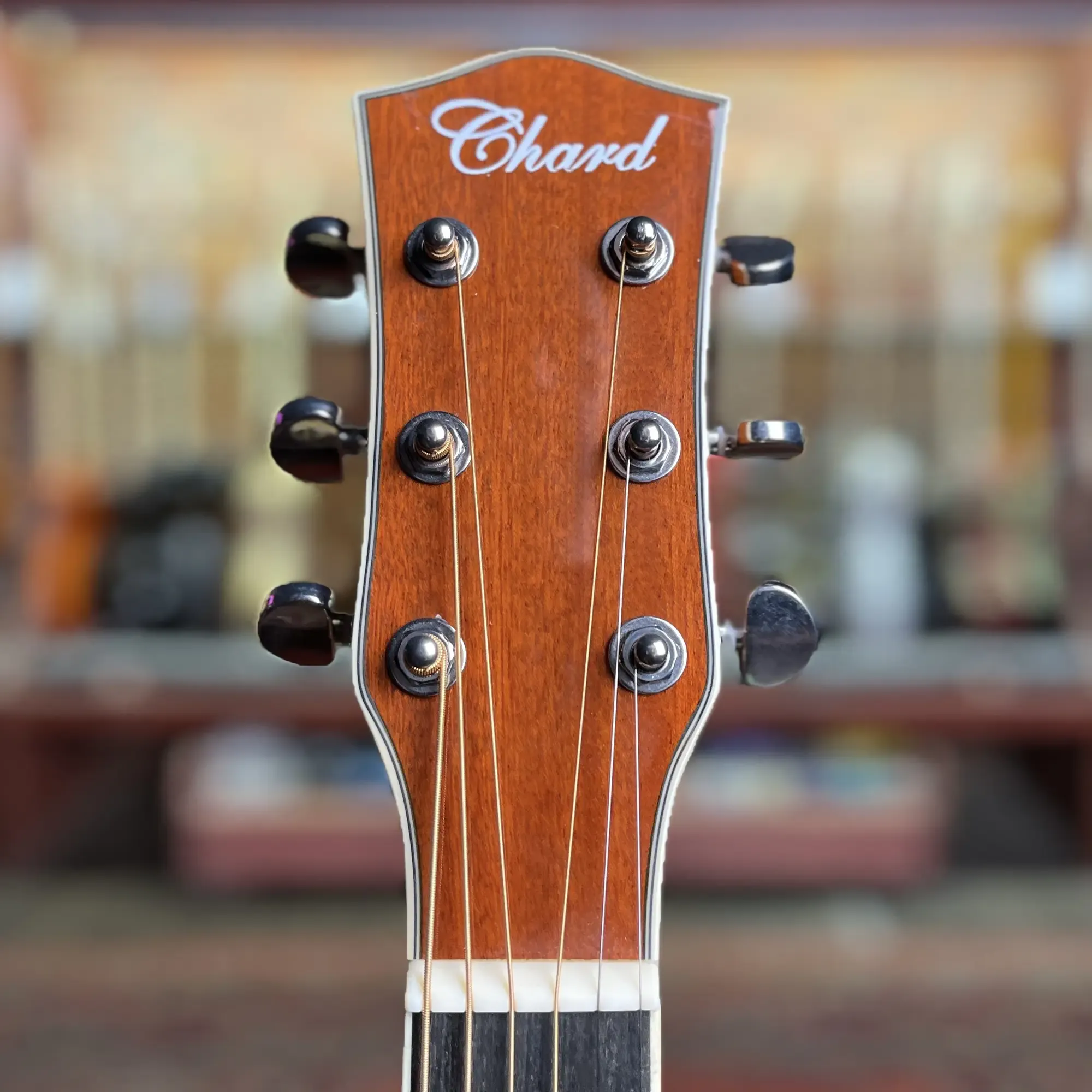 Изображение №3