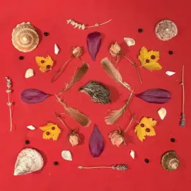 Виниловая пластинка Secret Family - Grouse Head Talisman [New Vinyl LP]