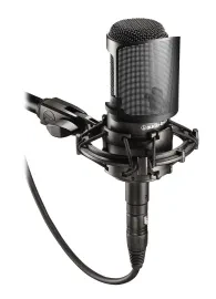 Микрофон для студии Audio-Technica AT2035 конденсаторный, кардиоидный, с кейсом и поп-фильтром