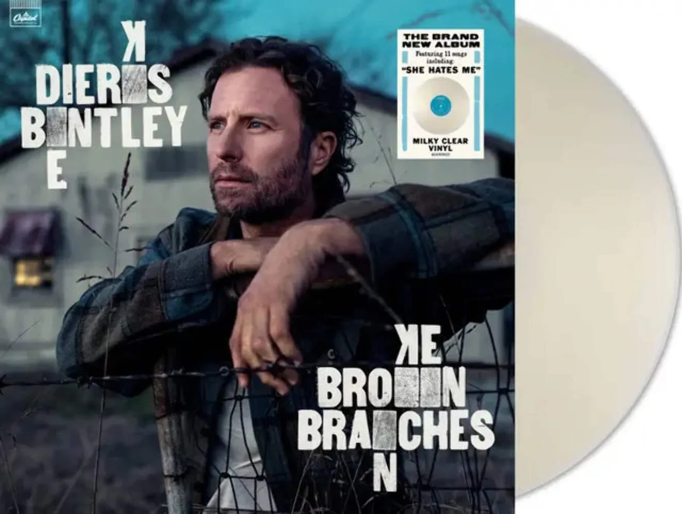 Виниловая пластинка Dierks Bentley – Broken Branches (Релиз 2025)