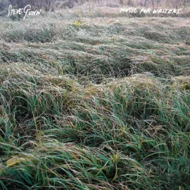 Steve Gunn - Music For Writers NEW Vinyl
