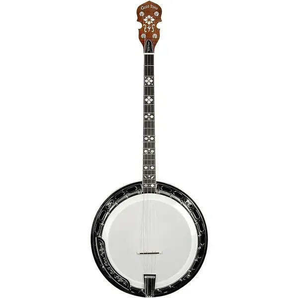 Банджо Gold Tone TS-250 Tenor Special Banjo Vintage Brown