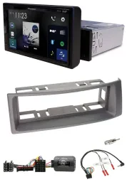 Pioneer DAB Lenkrad Bluetooth USB Autoradio für Renault Megane Scenic 96-00 anth