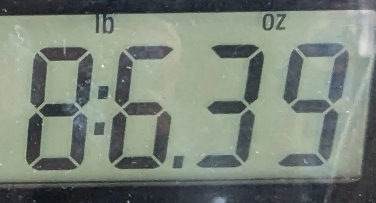 Изображение №9