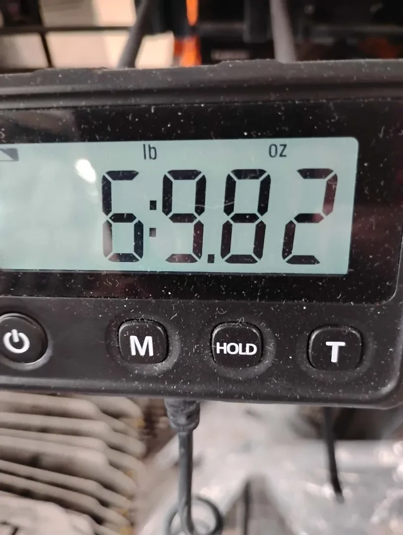 Изображение №7