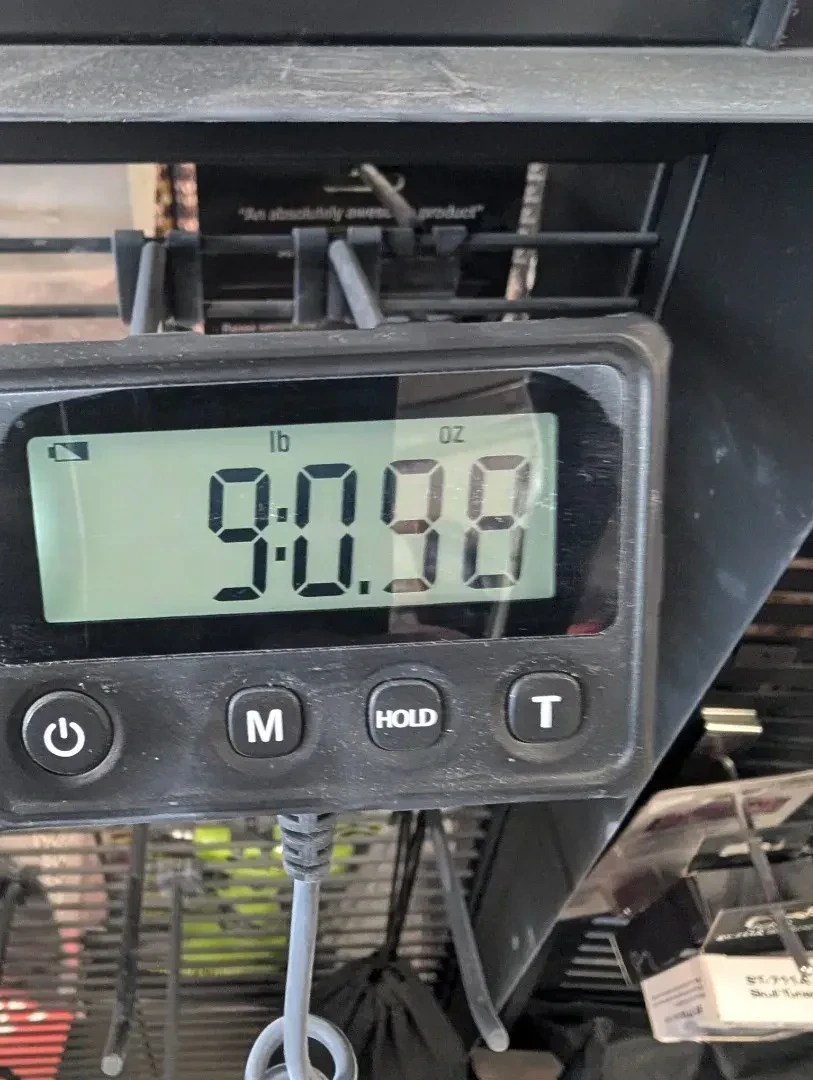 Изображение №9