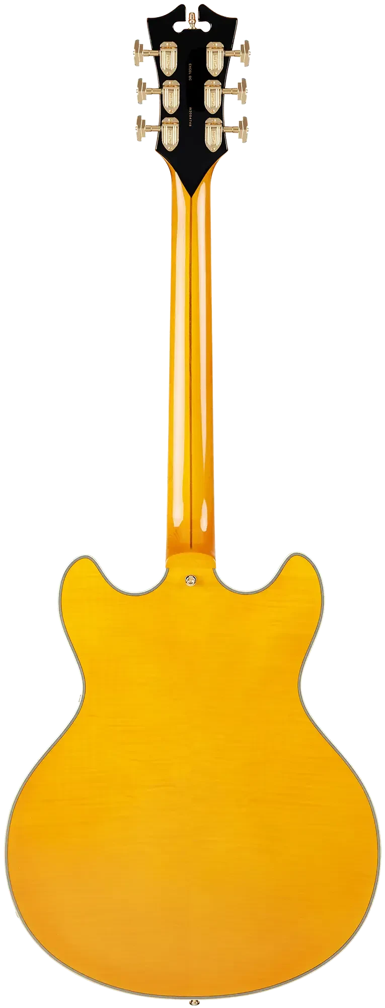 Изображение №2