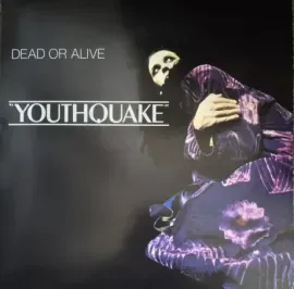 Виниловая пластинка DEAD OR ALIVE – Youthquake