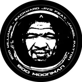 Виниловая пластинка Boo Williams - Backwards Jive [New 12" Vinyl]